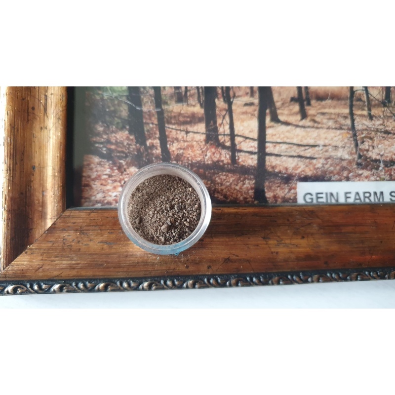 Eg Gein farm Soil