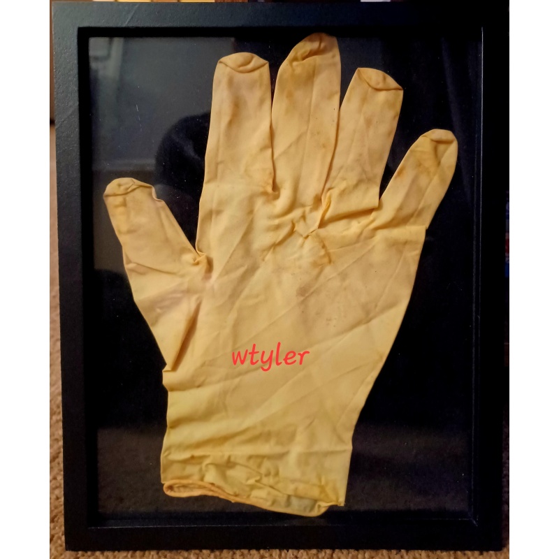 Dimebag Darrell Alrosa Villa Used Glove from Crime Scene Damageplan 12-8-2004