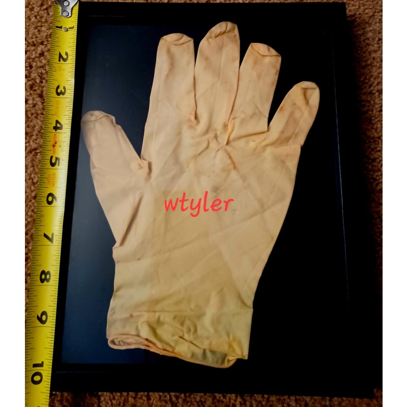 Dimebag Darrell Alrosa Villa Used Glove from Crime Scene Damageplan 12-8-2004