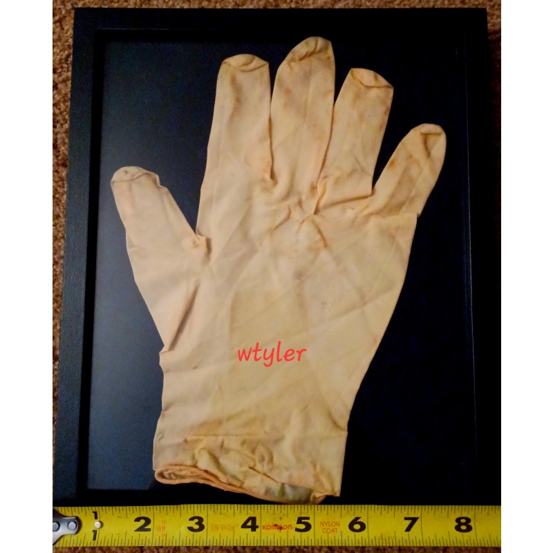 Dimebag Darrell Alrosa Villa Used Glove from Crime Scene Damageplan 12-8-2004