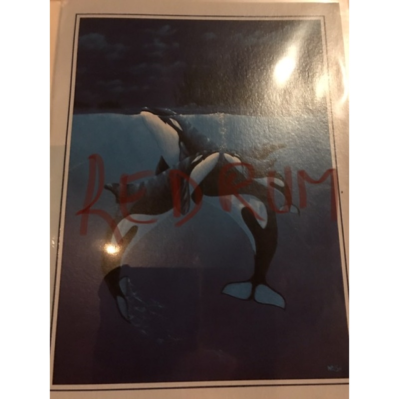 Laurie Bembenek rare Orcas greeting card signed in full from 1992