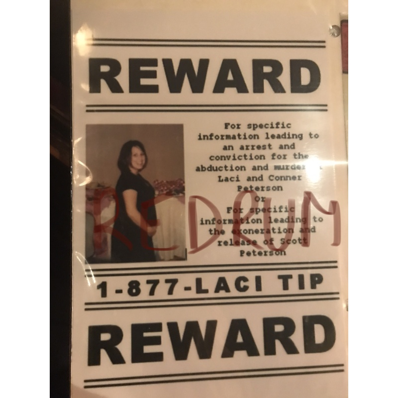 Laci Peterson 4 x 6 Reward poster  no.2