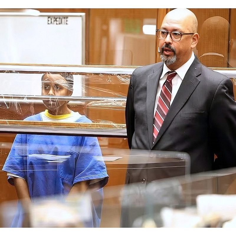 JAMEELAH ELENA MICHL | Homeless L.A. Woman Sentenced For Killing Activist Who Was Friends With Woman She Had Been Stalking | Michael Latt was the CEO of Lead With Love, an organization that “harnesses the power of art to spark change, bring love, hope, an