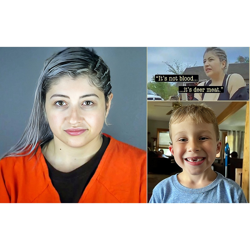 JULISSA ANGELICA GENRICH THALER | A Minnesota Mother Called The Judge “garbage” As She Was Sentenced To Life In Prison Without The Possibility Of Parole Following Her Conviction For Shooting Her Six-Year-Old Son Dead. “I’m innocent. Fuck you all. You’re g