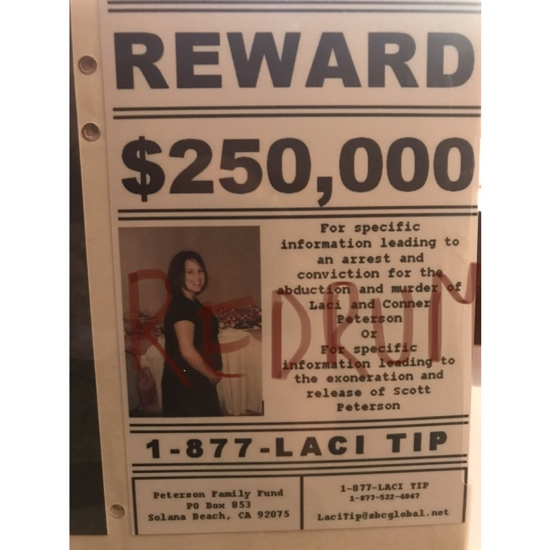 Laci Peterson 4 x 6 Reward poster 250.000$ no.1