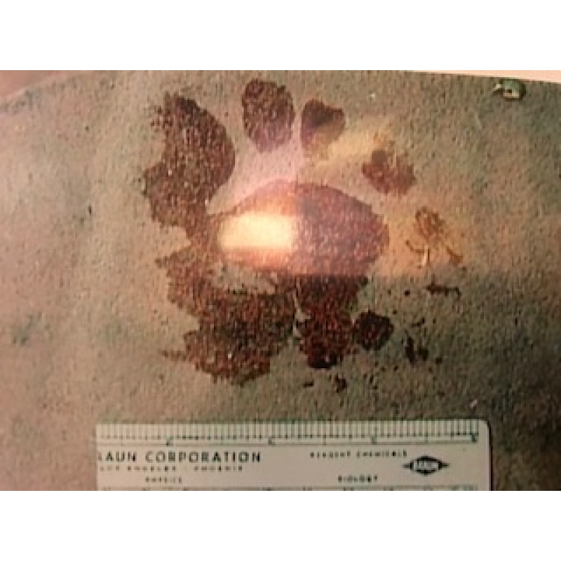 Susan Atkins 4 x 6 evidence bloody footprint from the 1960’s