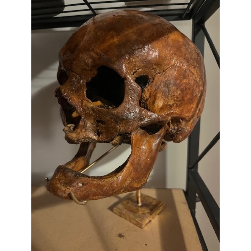 Antique human skull