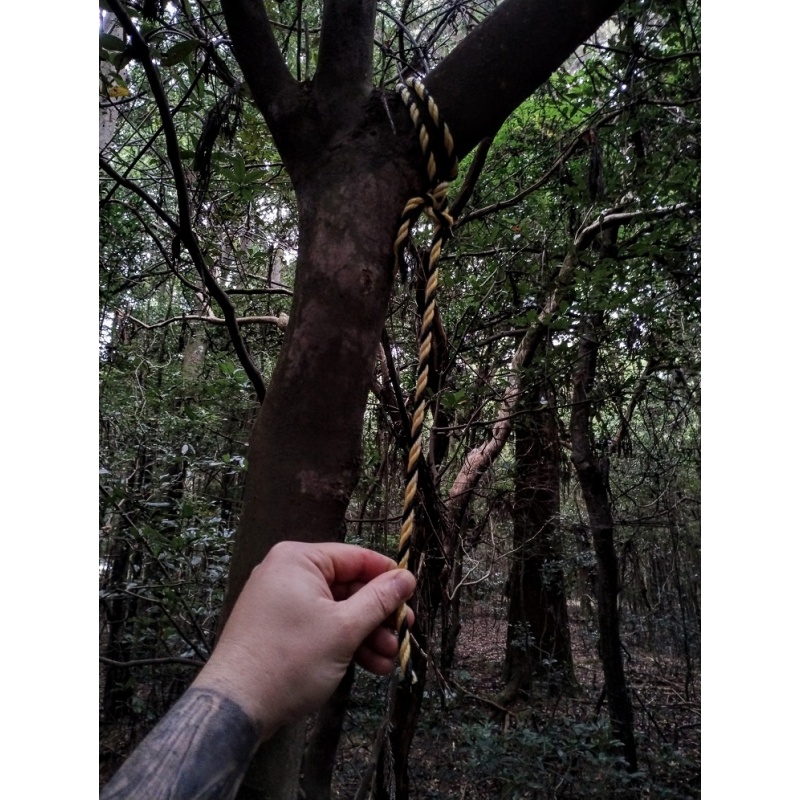 Authentic rope from the Aokigahara suicide forest in Japan #2