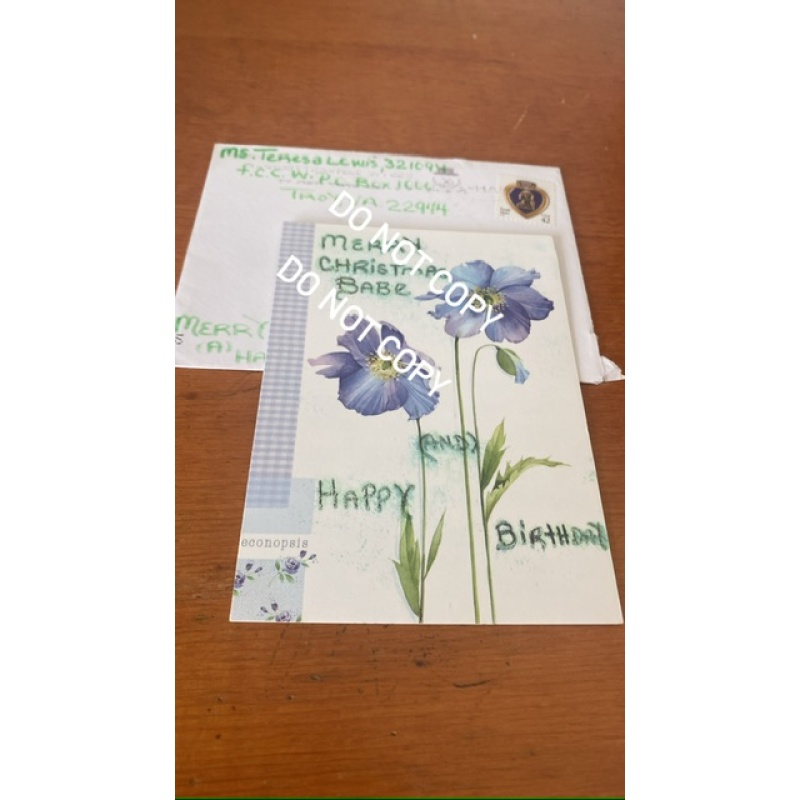 Executed double murderer Teresa Lewis handwritten greeting card envelope set