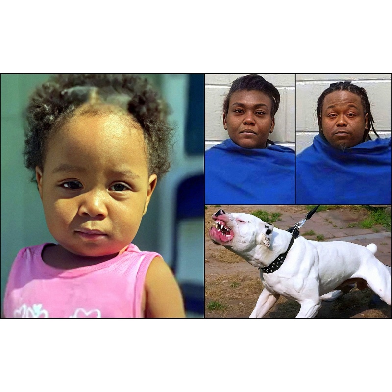 LACHARLES DEMAIO RAMSEY | Pit Bull Breaks Loose From Cage and Kills Toddler Girl After Babysitters Leave Kids Alone With 11-Year-Old | Dog Had a History of Aggression, As Did the Owners | ALS